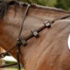 Correct Connect Aaron Vale Reins With 3 Padded Hand Grips -For the Horse Store CorrectConnect3PaddedHAndGripReins