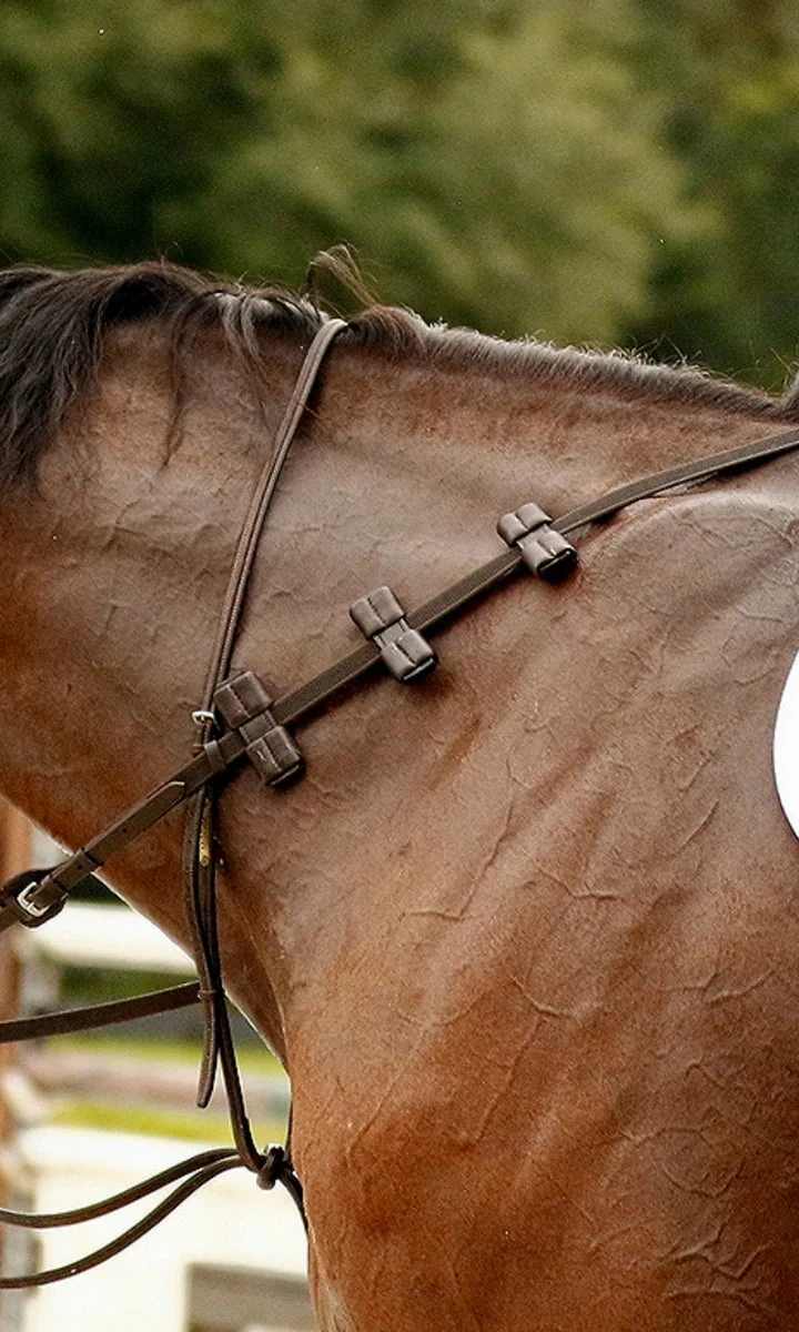 Correct Connect Aaron Vale Reins With 3 Padded Hand Grips 3 Correct Connect Aaron Vale Reins With 3 Padded Hand Grips