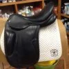 PDS Carl Hester Collection Monoflap Dressage Saddle 1 PDS Carl Hester Collection Monoflap Dressage Saddle -For the Horse Store IMG 4302