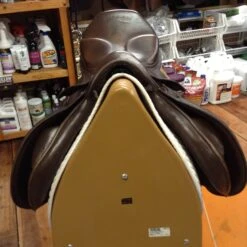 Stubben Roxane Jump Saddle - 17.5" 16 Stubben Roxane Jump Saddle - 17.5" -For the Horse Store IMG 4326