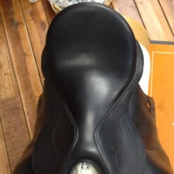 Bruno Delgrange Dressage Saddle - 18" 14 Bruno Delgrange Dressage Saddle - 18" -For the Horse Store IMG 4348