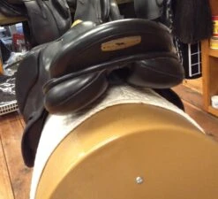 Black Country Tex Eventer - 19" 13 Black Country Tex Eventer - 19" -For the Horse Store IMG 4618