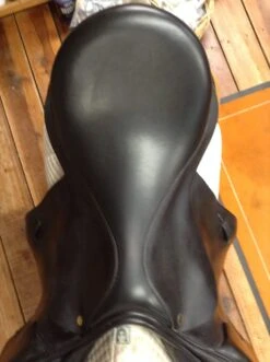 Black Country Tex Eventer - 19" 15 Black Country Tex Eventer - 19" -For the Horse Store IMG 4621