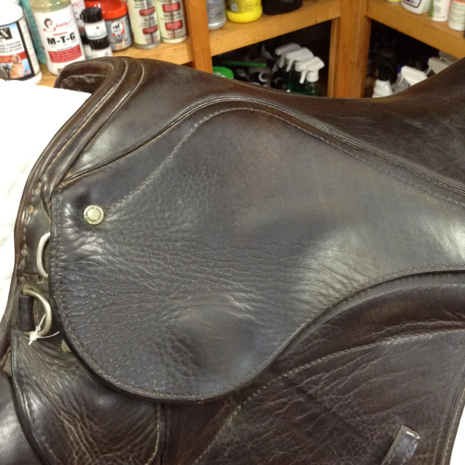 SOLD - Schleese Eventer II Monoflap - 17.5" 4 SOLD - Schleese Eventer II Monoflap - 17.5" - Image 2