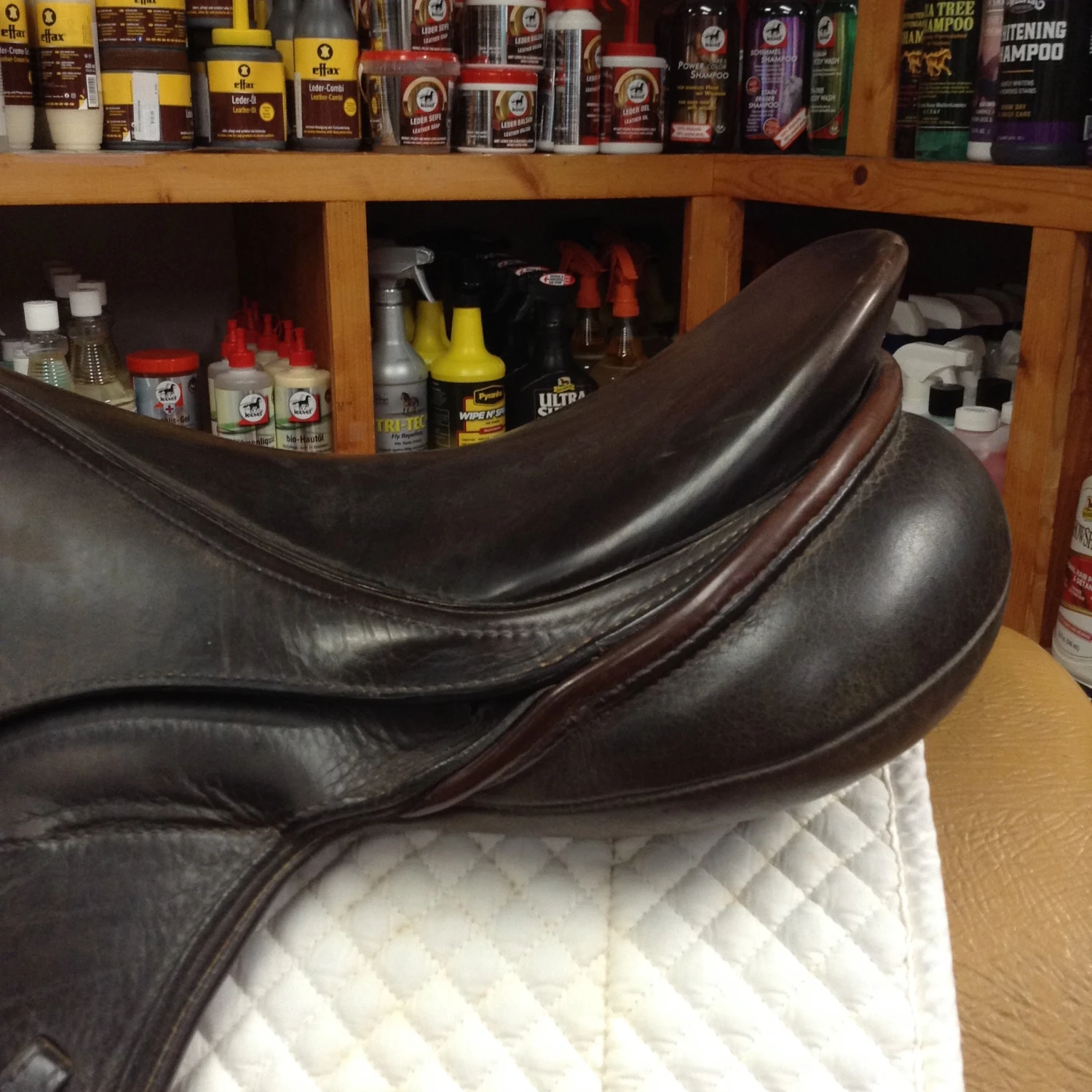 SOLD - Schleese Eventer II Monoflap - 17.5" 5 SOLD - Schleese Eventer II Monoflap - 17.5" - Image 3