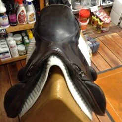 SOLD - Schleese Eventer II Monoflap - 17.5" 23 SOLD - Schleese Eventer II Monoflap - 17.5" -For the Horse Store IMG 4715