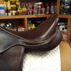 M Toulouse Marielle Monoflap Eventing - 18" 16 M Toulouse Marielle Monoflap Eventing - 18" -For the Horse Store IMG 4727