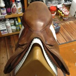 SOLD - 2010 Antares Jump Saddle - 19" -For the Horse Store IMG 4773