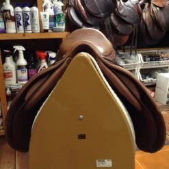SOLD - 2010 Antares Jump Saddle - 19" -For the Horse Store IMG 4774