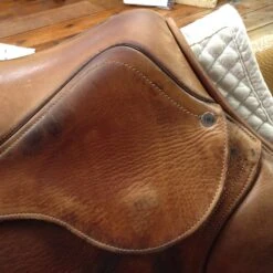 SOLD - 2010 Antares Jump Saddle - 19" -For the Horse Store IMG 4776