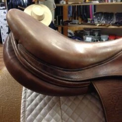 SOLD - 2010 Antares Jump Saddle - 19" -For the Horse Store IMG 4777