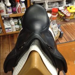 M Toulouse Diana Dressage - 17" -For the Horse Store IMG 4840