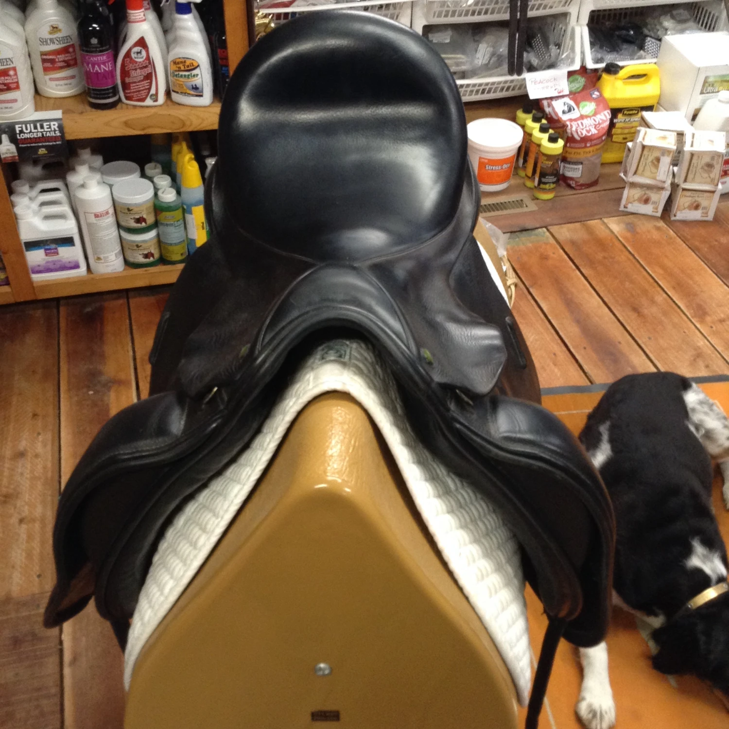 Cardanel Dressage Saddle - 17.5" 9 Cardanel Dressage Saddle - 17.5" - Image 7