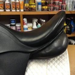 Stubben D Euphoria Dressage Saddle - 17" 19 Stubben D Euphoria Dressage Saddle - 17" -For the Horse Store IMG 5089
