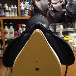 Stubben D Euphoria Dressage Saddle - 17" 23 Stubben D Euphoria Dressage Saddle - 17" -For the Horse Store IMG 5093