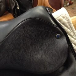 Stubben D Euphoria Dressage Saddle - 17" 25 Stubben D Euphoria Dressage Saddle - 17" -For the Horse Store IMG 5095