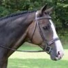 KL Select Red Barn Sonoma Fancy Hunter Bridle -For the Horse Store KLSelectRedBarnSonomaBridle