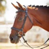 Kavalkade Ivy Plus Bridle 2 Kavalkade Ivy Plus Bridle -For the Horse Store KavalkadeIvyPlusBridle