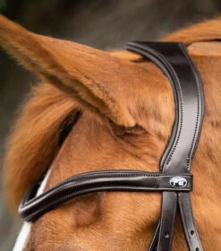 Premier Equine Glorioso Grackle Bridle 9 Premier Equine Glorioso Grackle Bridle -For the Horse Store PEglorioso grackle bridle2