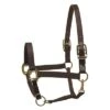 Perri's Safety Halter -For the Horse Store Perri sSafetyHalterblack