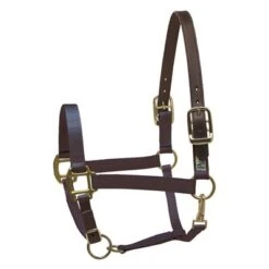 Perri's Safety Halter -For the Horse Store Perri sSafetyHalternavy