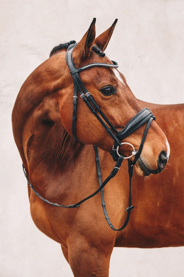 Schockemoehle Stanford Dressage Bridle 4 Schockemoehle Stanford Dressage Bridle - Image 2