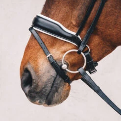Schockemoehle Stanford Dressage Bridle 9 Schockemoehle Stanford Dressage Bridle -For the Horse Store SchockemoehleStanford blackwhitesilver 2