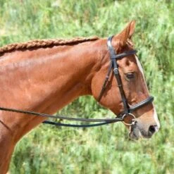 For the Horse Store 5 Bobby's English Tack Eventer Heavy Duty Padded Bridle