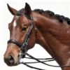 Bobby's Tack Padded Dressage Weymouth Double Bridle -For the Horse Store bobbys932