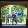 EquiSources® Carry-Cool® Sport Horse Cooling Kit -For the Horse Store carrycool1