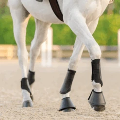 Equifit Essential® Everyday™ Front Boots 9 Equifit Essential® Everyday™ Front Boots -For the Horse Store download 4