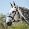 Edgewood Fancy Stitched, Raised, Padded Hunter Bridle 1 Edgewood Fancy Stitched, Raised, Padded Hunter Bridle -For the Horse Store edgewood a0f04711 ac01 4da3 bf97 5f792e49dc26