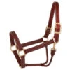Walsh British Triple Stitched Leather Halter -For the Horse Store image
