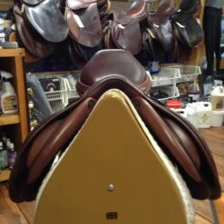 Equipe Expression Jump Saddle - 17.5" -For the Horse Store image f5ddad39 bfa3 4df5 88dc a7a914b2544e