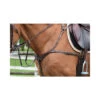 Jump'In 2 In 1 Breastplate And Martingale -For the Horse Store jumpin13