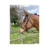 Jump'In Hackamore Bridle 2 Jump'In Hackamore Bridle -For the Horse Store jumpin9