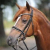 Kavalkade Weymouth "Antonia" Dressage Double Bridle -For the Horse Store kavant3