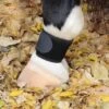 Professional's Choice VenTECH Pastern Wrap -For the Horse Store pc