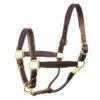Perri's 1" Leather Padded Halter 1 Perri's 1" Leather Padded Halter -For the Horse Store perrispadded