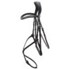 Schockemohle Rio Select Anatomical Bridle 1 Schockemohle Rio Select Anatomical Bridle -For the Horse Store scho