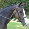 KL Select Red Barn Spirit Hunter Bridle 1 KL Select Red Barn Spirit Hunter Bridle -For the Horse Store spirit