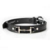 Tory Leather 1" Bit Belt -For the Horse Store torybitbelt