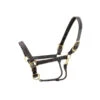 Walsh Kentucky Triple Stitched Leather Halter -For the Horse Store walshkentucky